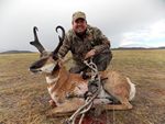 43 Bush 2013 Antelope Buck